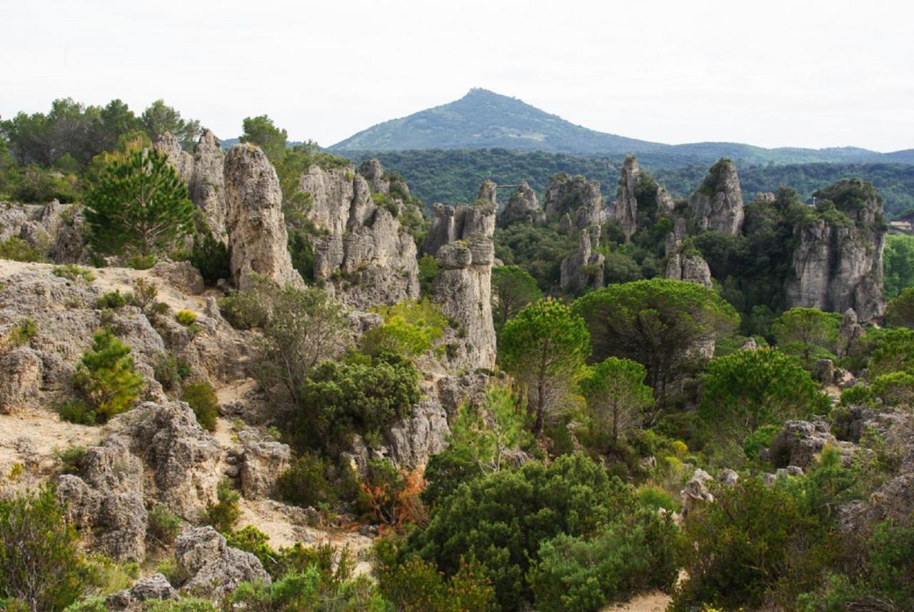 "Le Patio"-Meuble De Tourisme 3 Etoiles -Residence "Les Logis De Beziers"-Garage Optionnel-Coeur De Ville-Plages A 16Km ! Экстерьер фото
